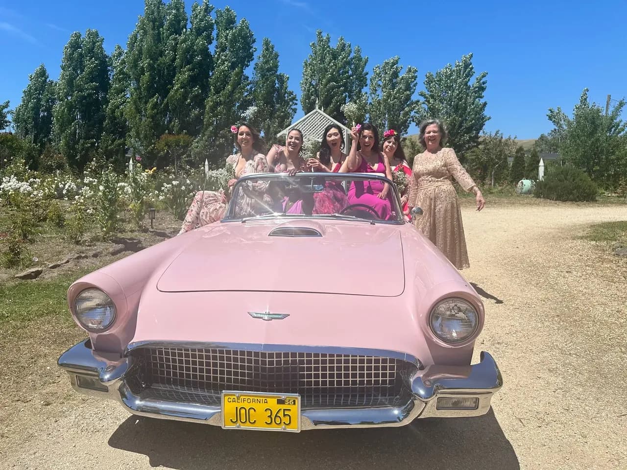 Pink 1957 Ford T-Bird, photo 2 for wedding car rental Pink 1957 Ford T-Bird, photo 2 for wedding car rental