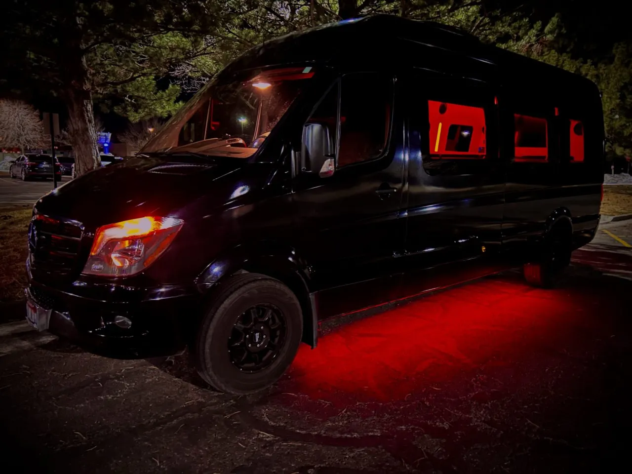 Black 12 Passenger Mercedes Party Bus, photo 4 for party bus rental