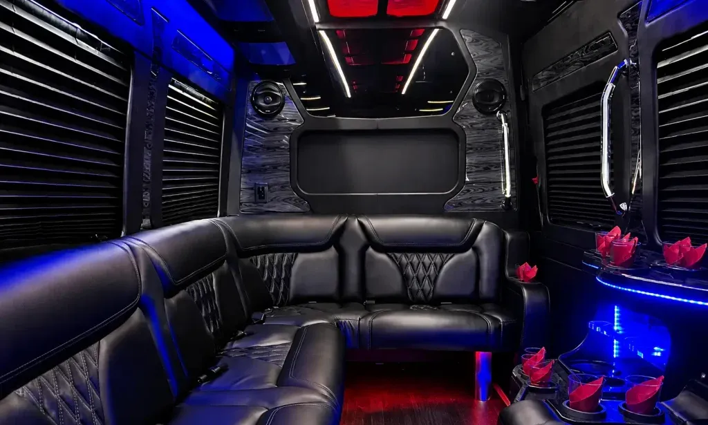Black 14 Passenger Sprinter Party Bus, photo 2 for party bus rental