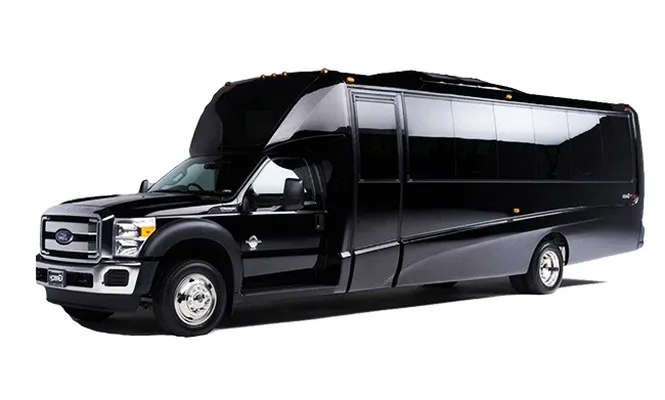 18 Passenger Party Limousine Bus on offer