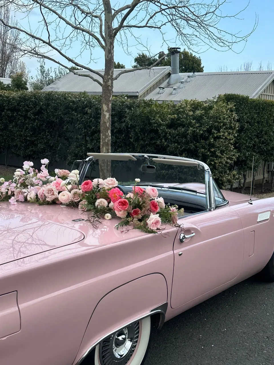 Pink 1957 Ford T-Bird, photo 5 for wedding car rental in Burbank, CA