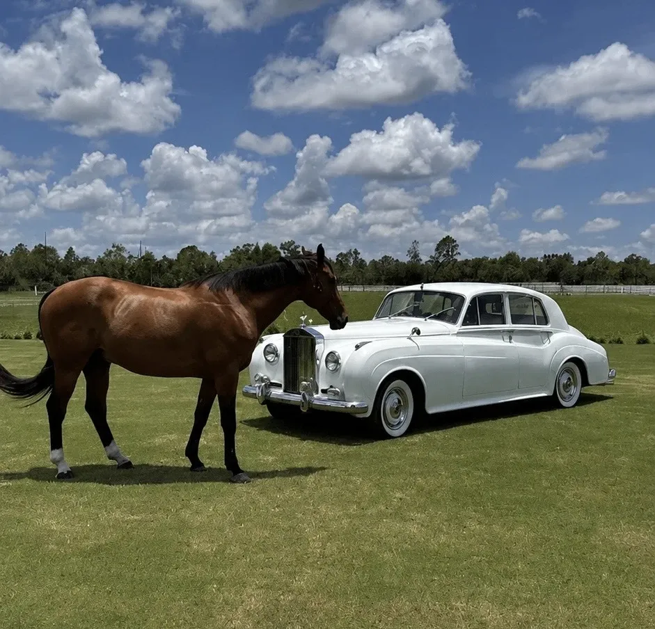 White 1960 Rolls Royce Silver Cloud exterior, photo 3 for wedding car rental in Pinetta, FL