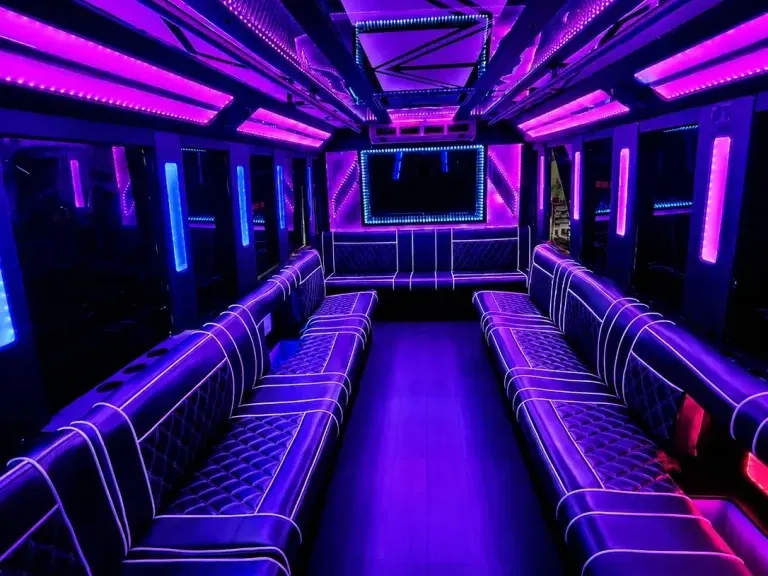 White 20 Passenger Party Bus; view 2