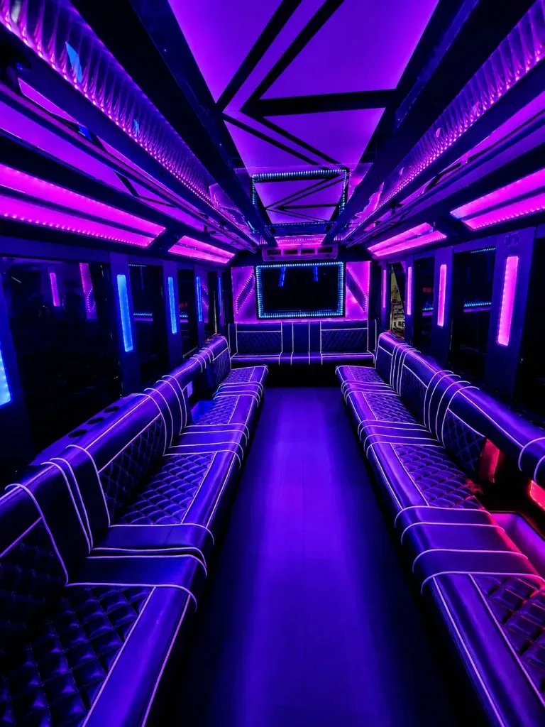 White 20 Passenger Party Bus; view 2
