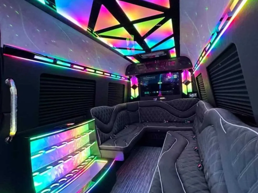 Black 2026 Mercedes-Benz Sprinter Limousine (Sylvester); view 2