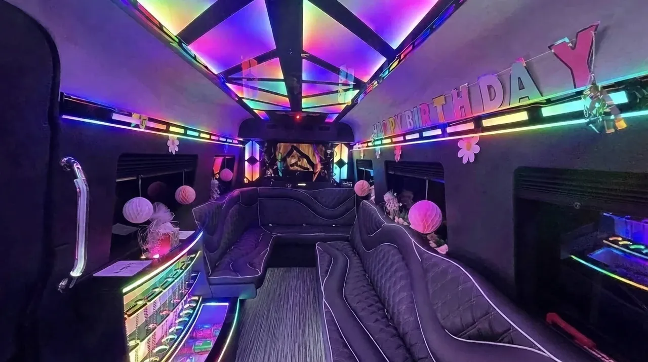 Black 2026 Mercedes-Benz Sprinter Limousine (Sylvester); view 2