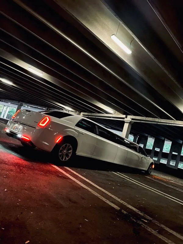 White Chrysler 300 Jet Doors exterior, photo 12 for limo rental