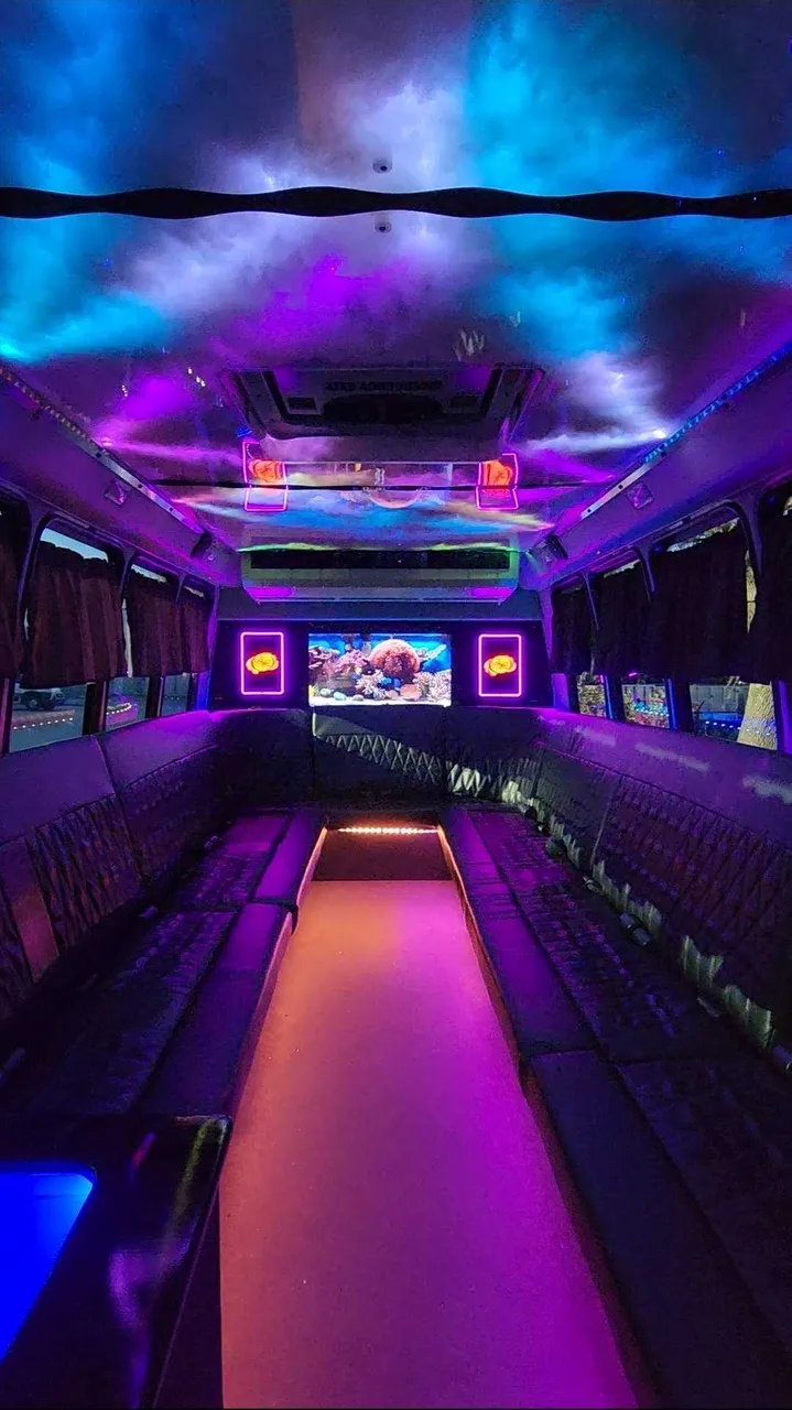 Dark Shadow /2019 ( 20 Passenger Luxury Party Bus interior, photo 2 for party bus rental in Palm Coast, FL