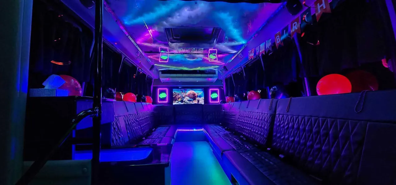 20 Passenger Luxury Party Bus interior for party bus rental
