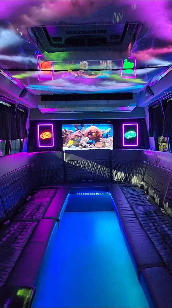 Dark Shadow /2019 ( 20 Passenger Luxury Party Bus interior for party bus rental in Palm Coast, FL