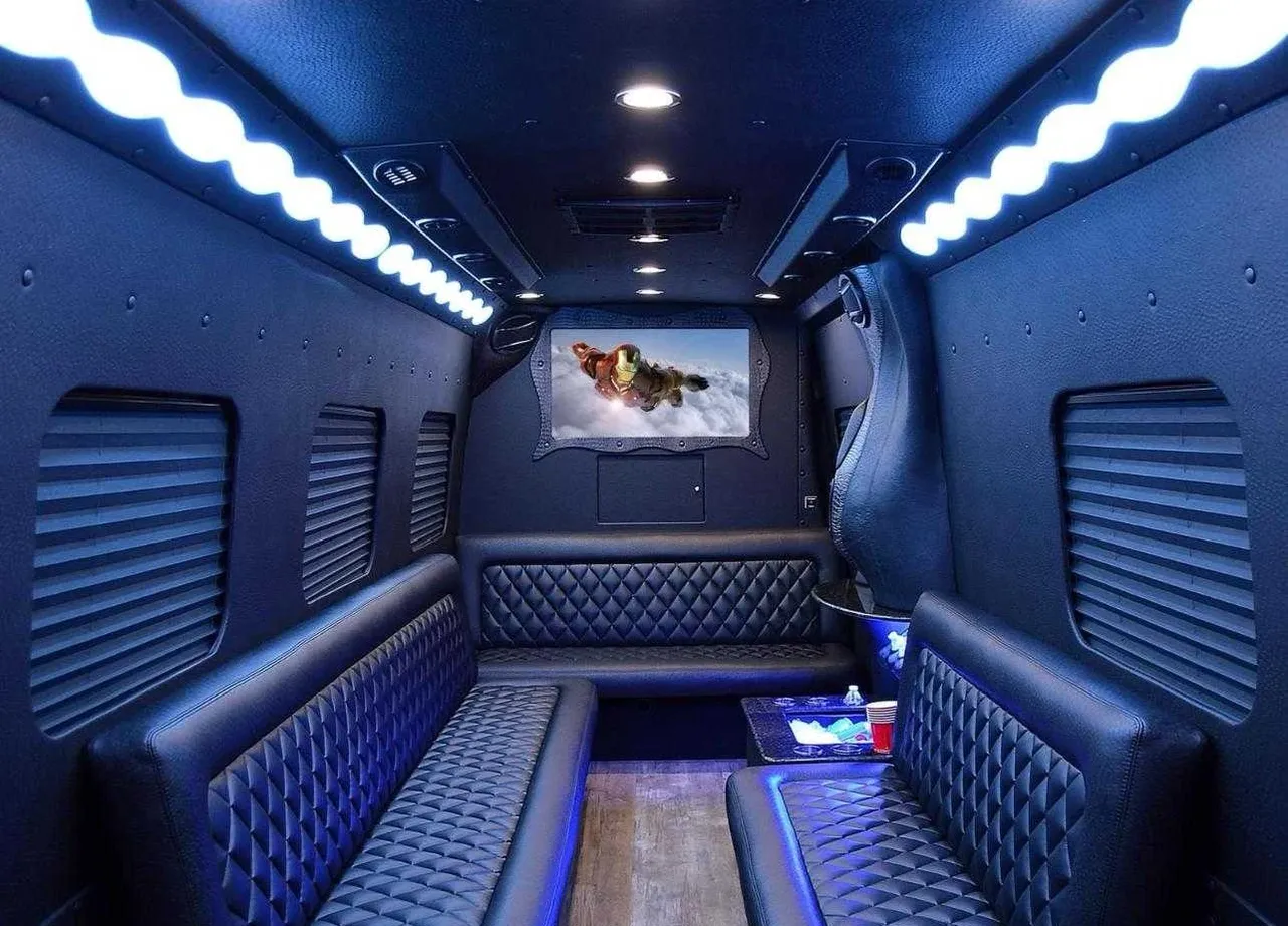 Black Mercedes-Benz Limousine Coach; view 2