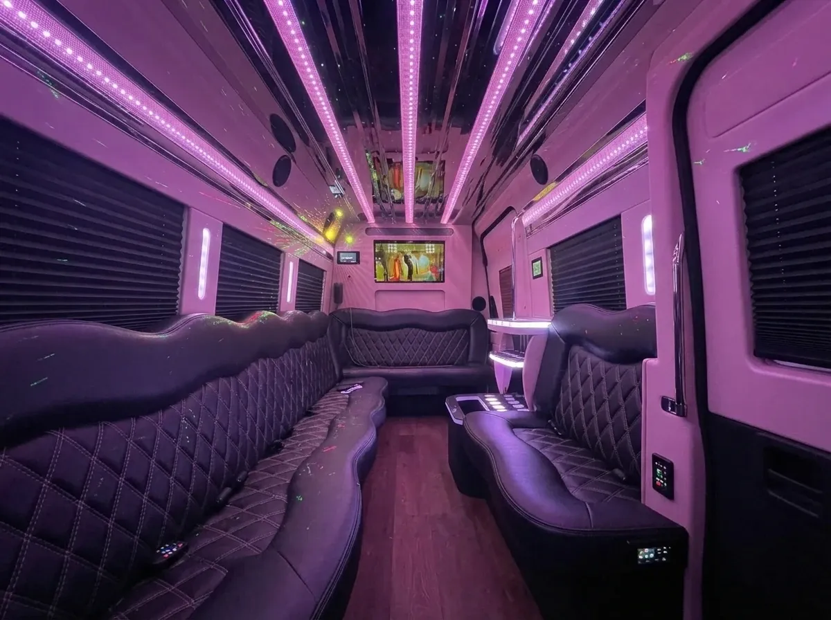 Black Mercedes-Benz Sprinter Limousine; view 4