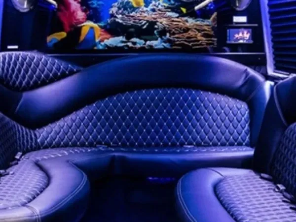 Mercedes-Benz Sprinter Limousine Mercedes-Benz Sprinter Limousine on offer