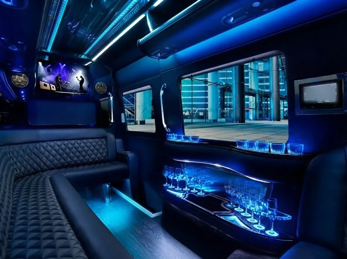 Black Mercedes-Benz Sprinter Limousine; view 5