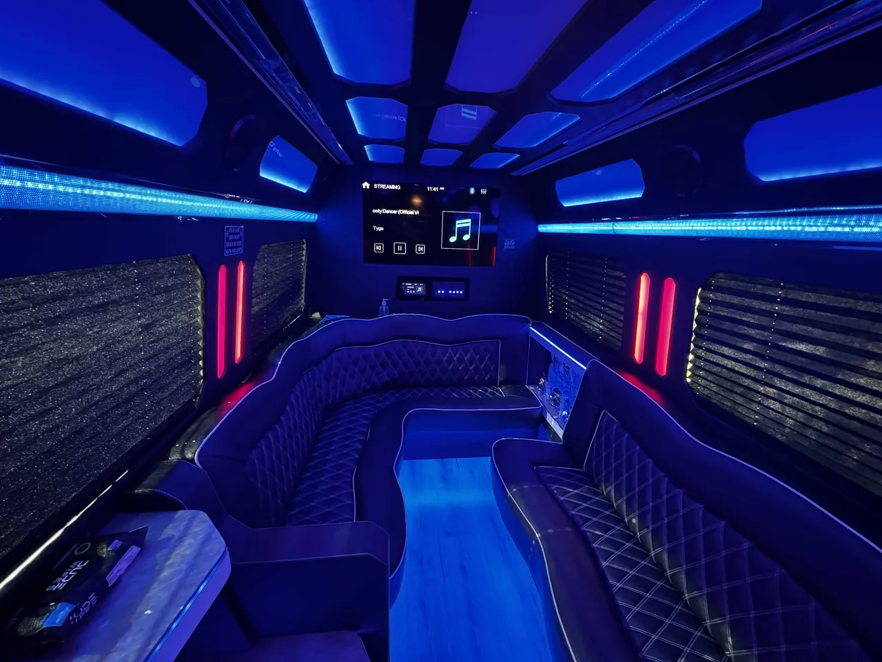 Silver Mercedes-Benz Sprinter Party Limousine Bus, photo 7 for party bus rental
