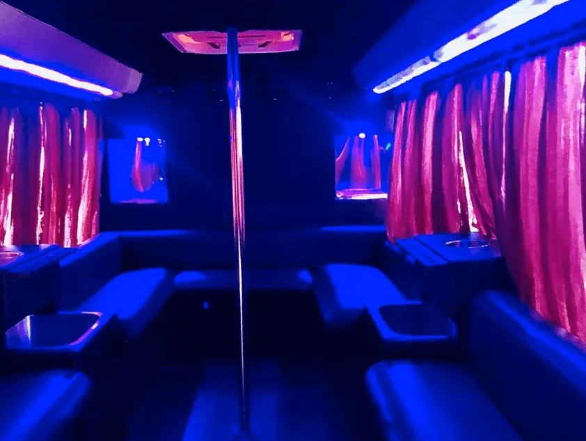 16 Passenger Party Bus interior with perimeter lounge seating, window shades and dance pole for party bus rental in Burbank, CA