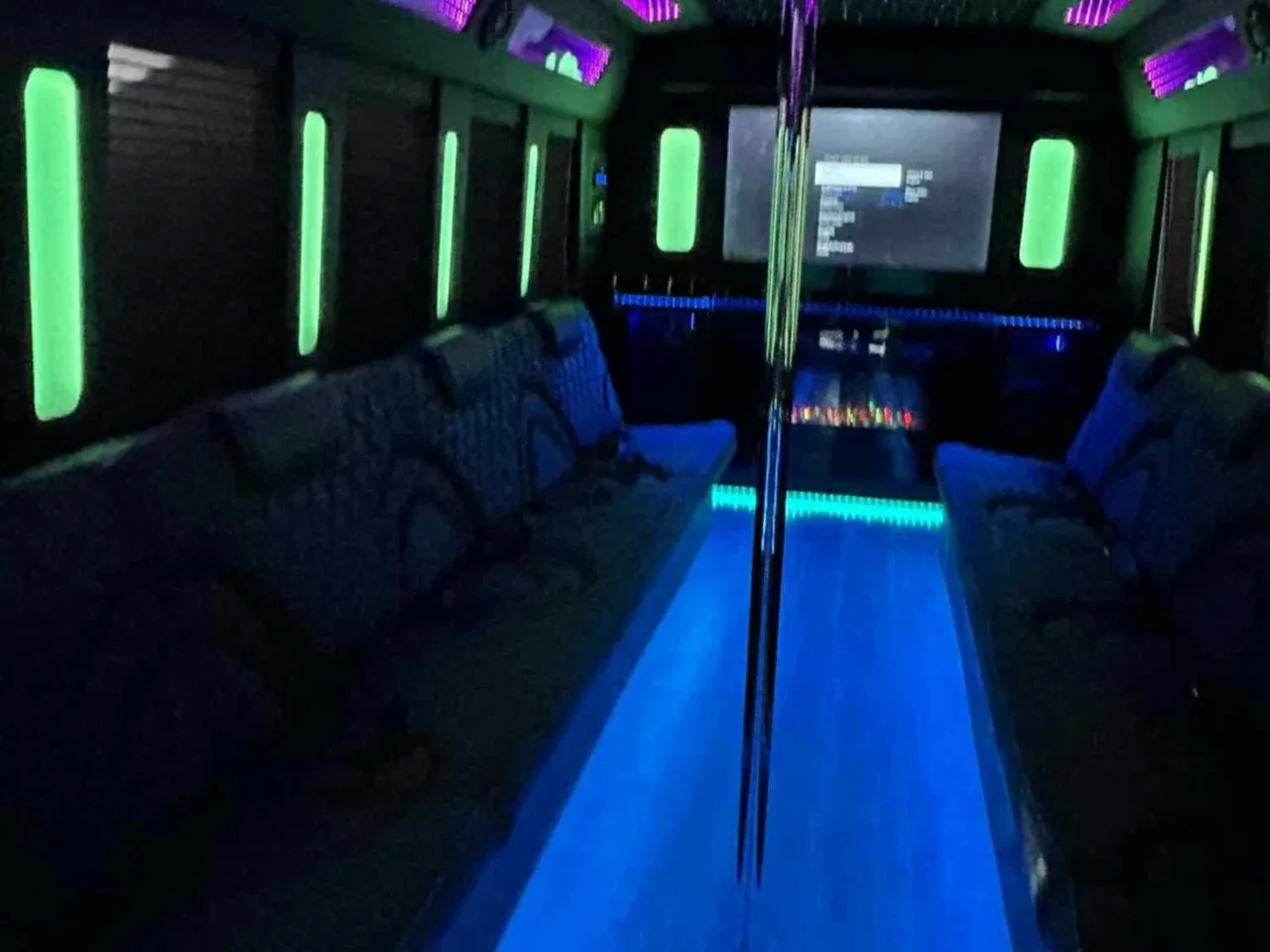 White 18 Passenger Party Bus; view 2