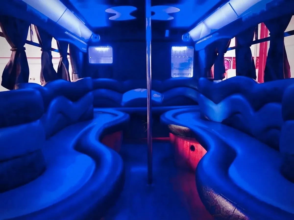 Black 18 Passenger Party Bus; view 2