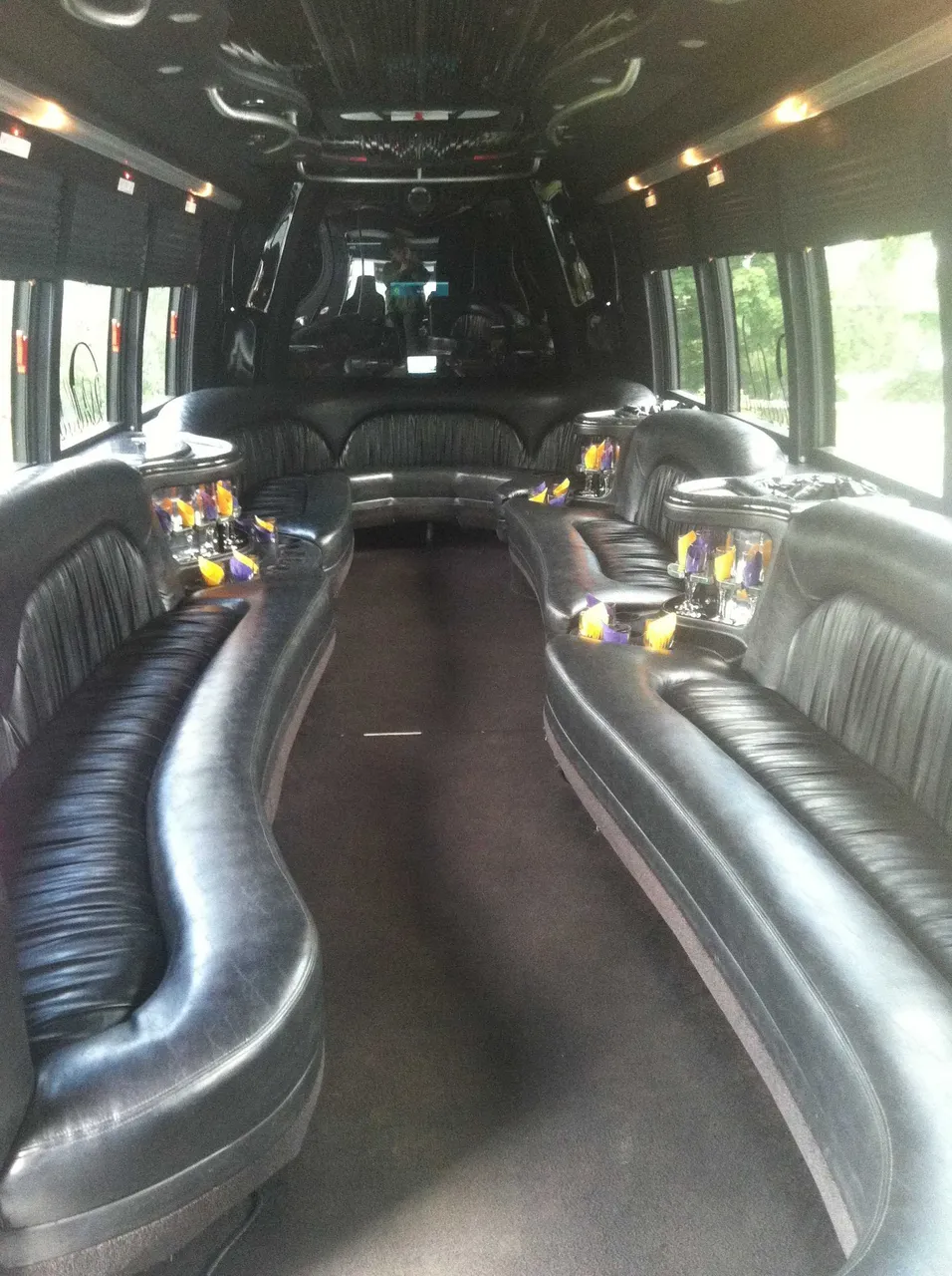 Party Bus - Dean Martin interior with perimeter lounge seating, cup holders and window shades, photo 3 for party bus rental