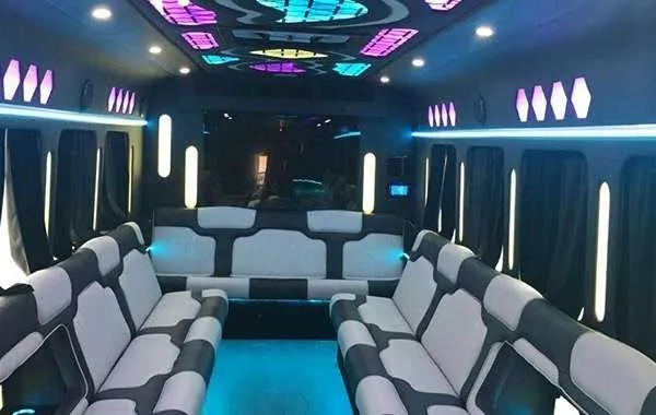 Passenger cabin: Party Bus White; perimeter lounge seating, window shades and LED accent lighting